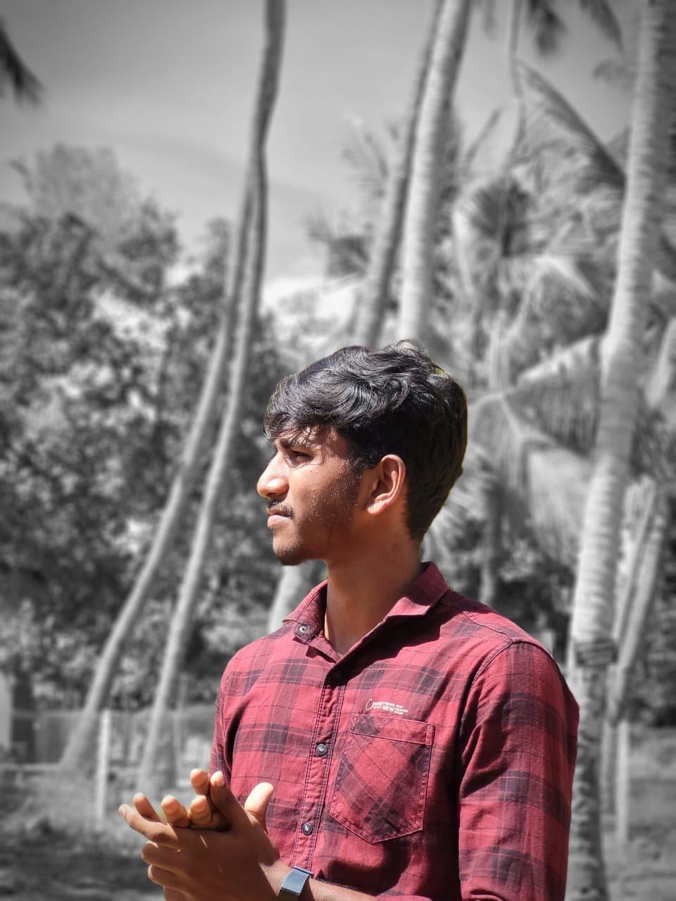 About Image